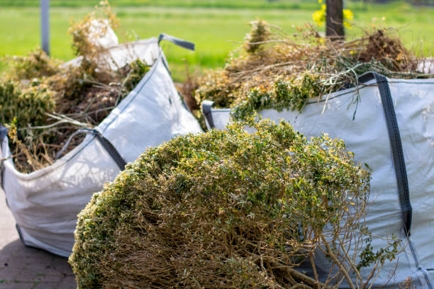 Best Appliance Removal Near Me  in Lubeck, WV