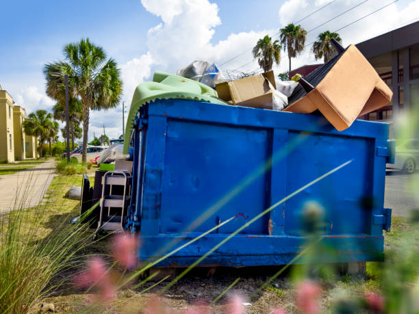Best Trash Removal Near Me  in Lubeck, WV